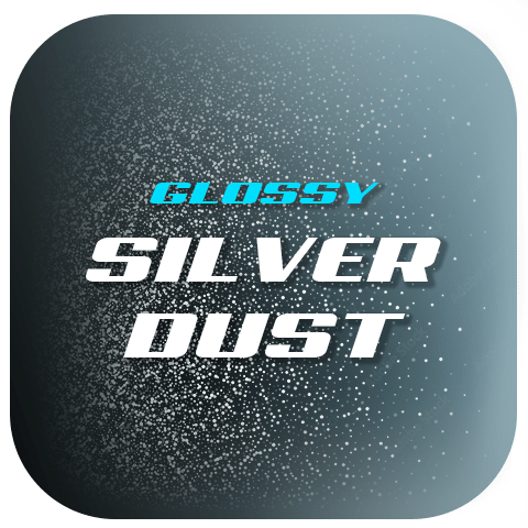 Canam Maverick R + Roof - Silver Dust Finish